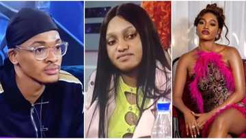 BBNaija: Chomzy tackles Groovy over moving on from Beauty to Phyna shortly after her disqualification