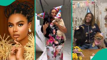 "First it was Cuppy": Nancy Isimi's video celebrating her 'babies' stirs concern about growing trend