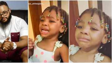 BBNaija is rated 18: Reactions as little girl cries uncontrollably and begs mother to see Whitemoney