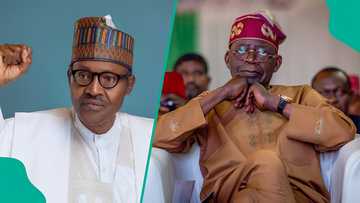 Buhari's death: Tinubu asked to declare public holiday