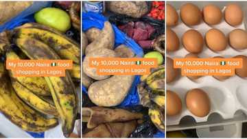 "That plantain is N2000 in Lekki": Nigerian lady shares video of foodstuff she bought N10,000, she goes viral