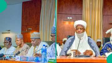 Kasa ta rikice: Gwamnonin Arewa 19 da sarakunan gargajiya sun sa labule a Kaduna