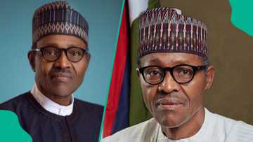 Buhari burial live updates: Photos show Buhari's residence in Daura ahead of funeral