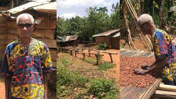 85-year-old farmer found living alone in his 'village', says his children travelled to city for better life