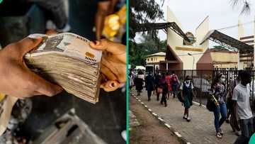 NANS opens portal for Nigerian students to apply for business funding