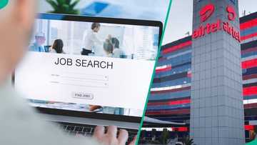Airtel announces job vacancies for Nigerians, releases requirements, application link