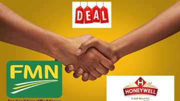 Honeywell, Flour Mills investors make N7.60bn in 16 hours as acquisition deal put smiles on shareholders face