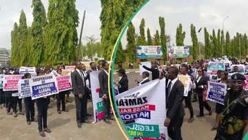 Lawyers storm National Assembly, demand take-over of Benue, Zamfara Houses of Assembly
