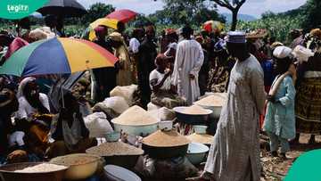 List of not-so-popular benefits of new tax laws for Nigerians