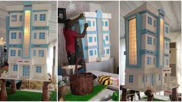 "Don't eat the house": Genius baker shows off giant cake that looks like mansion, eye-popping video goes viral