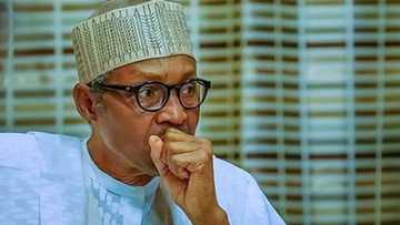 Da dumi dumi: Bayan rashin Abba Kyari Buhari ya sake tafka babban rashi a fadar Villa