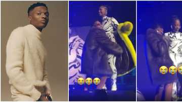 He crossed the line: Fans demand Wizkid apologises for trying to carry Tems without permission on stage