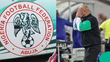 NFF technical committee to hold meeting in Abuja on Eric Chelle’s future ahead of AFCON 2025