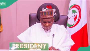 Adamawa govt approves fresh N12bn projects, details emerge