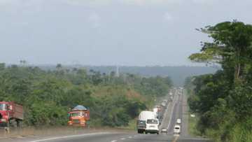 Black Saturday: Seven persons die in Ogun highway autocrash on Christmas Day