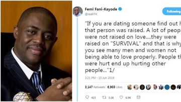 If you are dating someone find out how that person was raised - Femi Fani-Kayode advises lovers