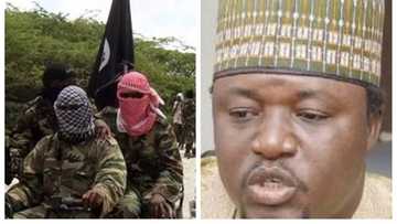 Yan Boko Haram na cin karnukansu ba babbaka a Arewa maso gabas da yamma kulli yaumin