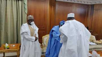 The main boss: Video, photo emerge as APC's Tinubu bows, salutes influential northerner