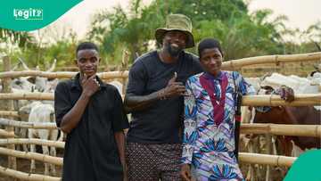 Emmanuel Adebayor sponsors 2 young farmers looking after his cows to school