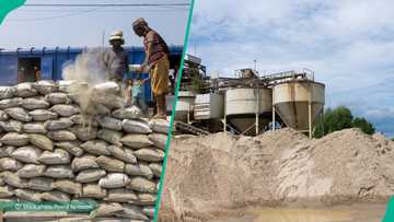 Another Kano billionaire to rival Dangote, BUA with new cement plant