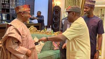 Jonathan backs PDP governor to become president in 2023