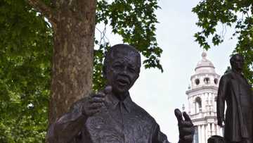 Britain's far-right demonstrators reveal why they want Mandela's statue removed from Parliament Square