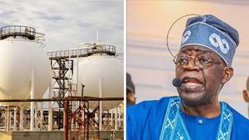 FG says Nigeria's gas reserves could last for 94 years, accounts for 33% of Africa's total