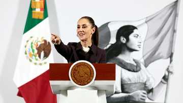 Mexico seeks 'preferential treatment' on US tariffs