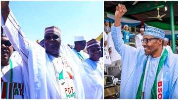 Presumed winner of 2019 presidential election revealed as opinion polls release results