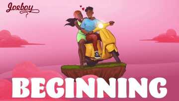 Joeboy - Beginning: Top details about this love song