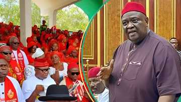 Ohanaeze revokes protest in S/East, sends crucial message to Igbos in North, West