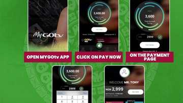 Here’s what to watch on GOtv Max this last weekend in January