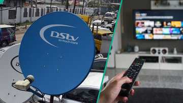 MultiChoice to remove popular channel from DStv after 13 years