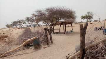 Boko Haram: Karamar hukuma a Yobe ta saka fitilun kan hanya 44 don magance kai hari