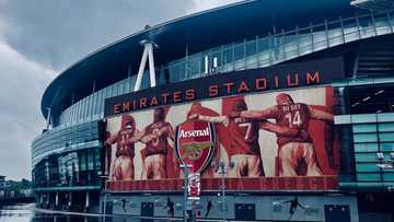 Ex-PL star slams Arsenal fans, tells them to stop acting like they have won UCL title after Spurs victory