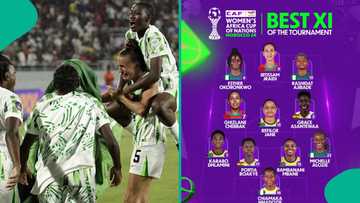 CAF names 4 Super Falcons stars in WAFCON Best XI, Ashleigh Plumptre missing