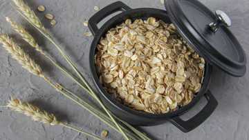 How to prepare Quaker oats for babies: yummy recipes baby will love