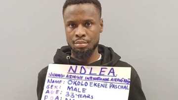 Abuja: NDLEA ta kama hodar iblis da aka yi mata basaja a jakunkunan ganyen shayi