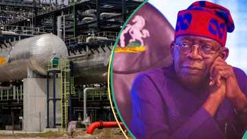 Marketers tell FG, NNPCL what to do about refineries as Nigerians groan over rising petrol prices