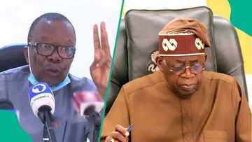 Just In: ASUU begins mobilisation for nationwide strike