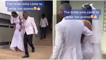 Love is sweet: Husband in suit escorts bride in wedding dress to take her exams, video stirs reactions