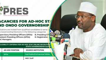 Apply Now: INEC announces fresh vacancies, gives step-by-step guide