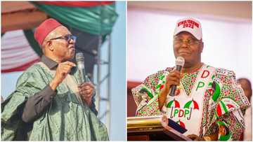 BREAKING: Trouble for PDP as Peter Obi defeats Atiku with over 2,500 votes in Adamawa ward