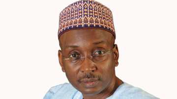 2023: Buhari’s successor must emerge from APC members not outsider, Lukman gives reasons