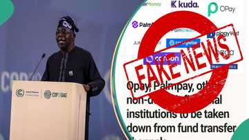 CBN zai rufe Opay, Moniepoint, Kuda da sauran bankunan 'online'? Hadimin Tinubu ya yi bayani