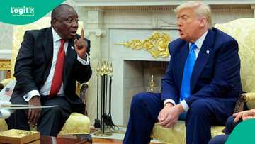No US official to attend G20 as Trump makes fresh allegations against South Africa