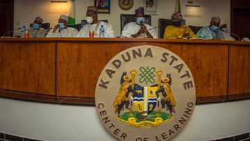 Breaking: Northern youths hit streets in Kaduna, Bauchi, Zamfara, others, begin massive protest over widespread killings