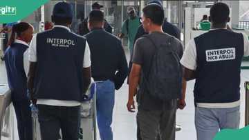 Nigeria police arrest, repatriate wanted Chinese fugitive over $245m fraud