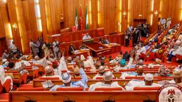 Buhari's ambassadorial nominee sees Senate's red eye, disgraced over comment on APC