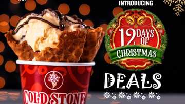 Enjoy Cold Stone’s 12 Days of Christmas and the New Lotus Cheesecake this December